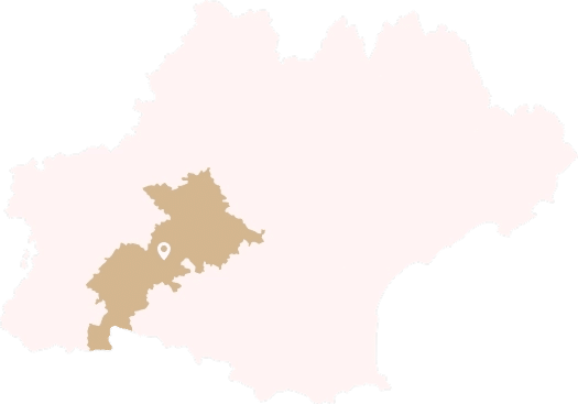 Carte Occitanie : Mise en avant d'une zone géographique Carte de la région Occitanie (France) avec une zone intérieure mise en évidence en beige, centrée sur un repère de localisation.
